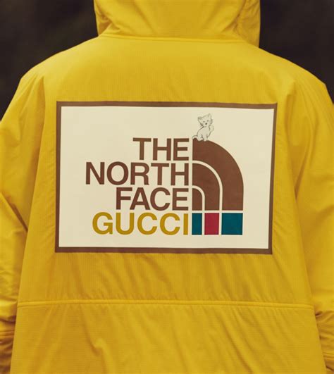 north the face x gucci|More.